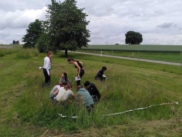 A group of people in a grassland, bending over to observe the vegetation