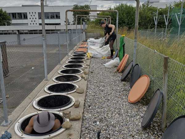 Enlarged view: Woman shoveling sand into lysimeters