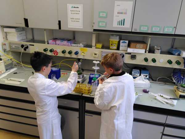 Two boys pipetting