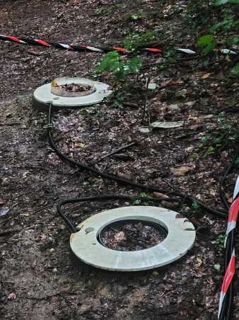 Two rings in forest soil, cables