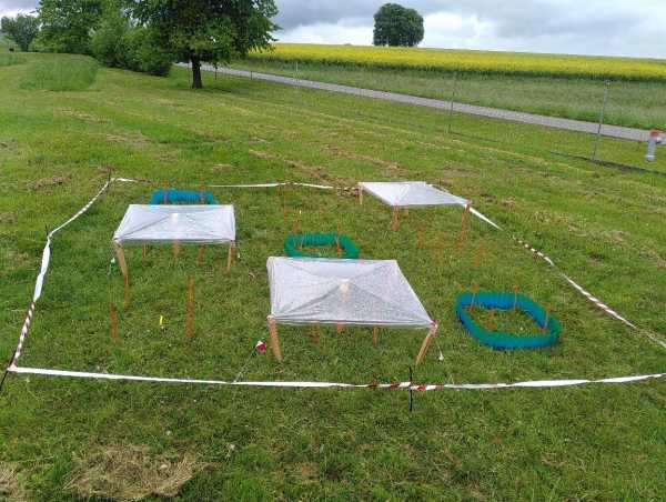 Grassland plot with shelters for drought and plastic barriers for flooding, control plots in between