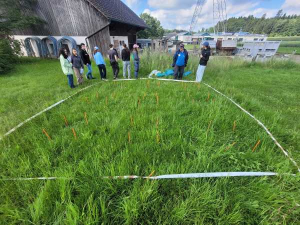 A group of people standing around the experimental grassland plot