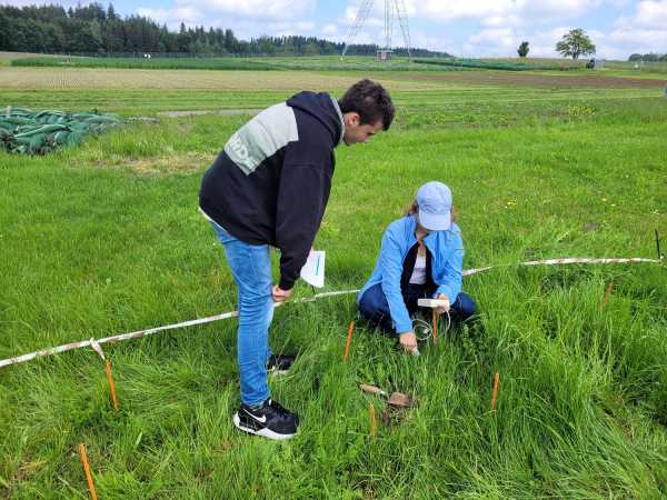 Two people in grassland, one holding a device, one waiting to write down results