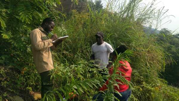 People in vegetation, one person taking notes