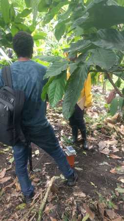 Two students standing around measurement chamber in tropical forest