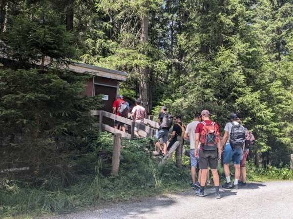 Group of people moving towards a hut next to the forest road