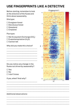 Picture of the fingerprint worksheet