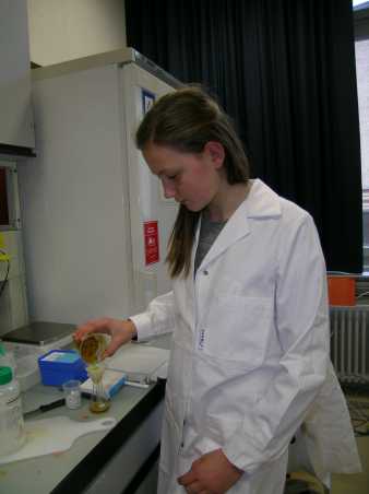 Enlarged view: girl in the lab