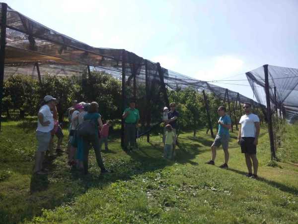 In the orchard with farmer Paul Nussbaumer