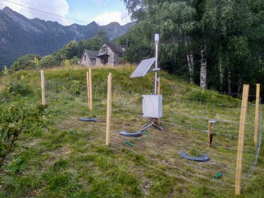Lysimeters and meteostation