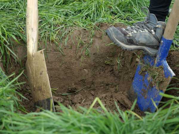 Foot and shovels in a soil pit