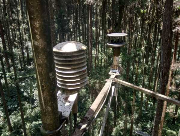 Sensors in forest