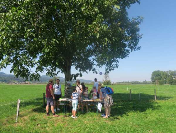 Visitors under a walnut tree