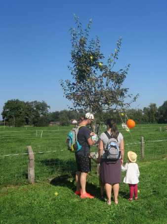 Family looking at a young fruit tree