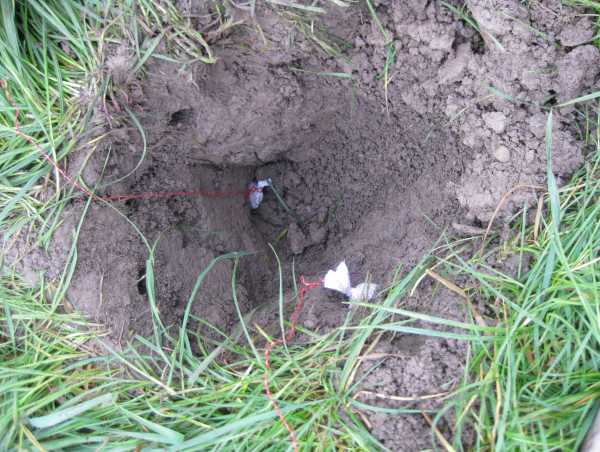 A soil pit with resin bags