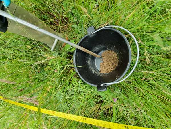 Bucket with soil