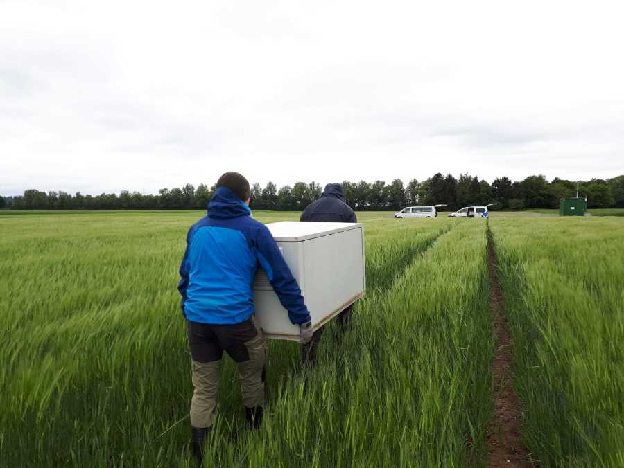 Enlarged view: Two people carrying a large box through a field