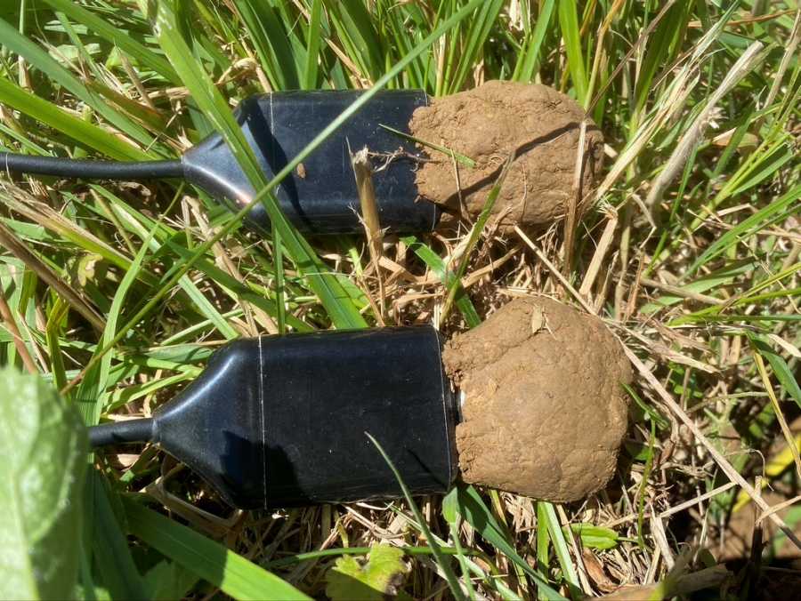 Enlarged view: Two sensors with soil
