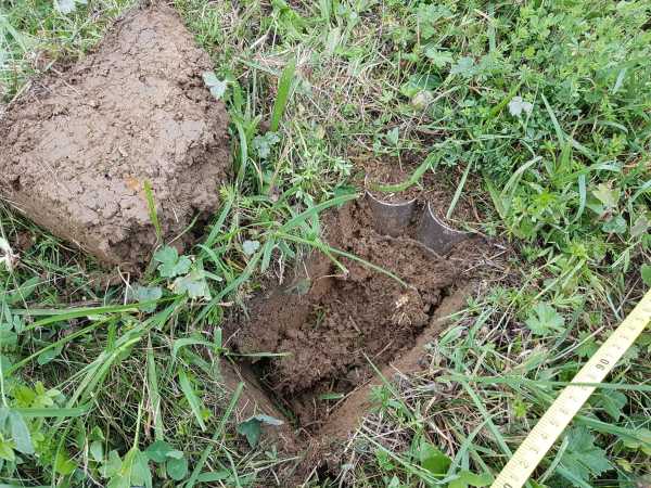 Small sampling hole in the soil