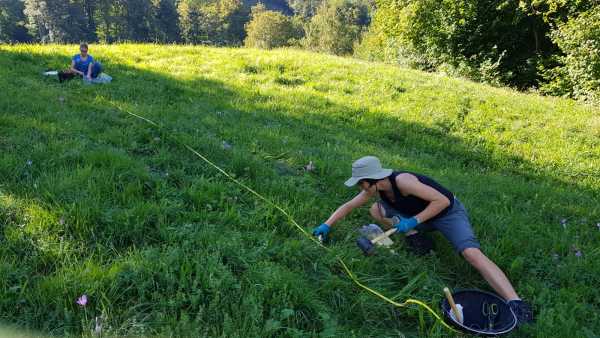 Two women on a grassland taking samples along a measuring tape