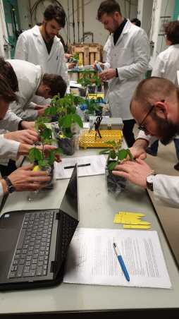 People in white lab coats preparing plant pots