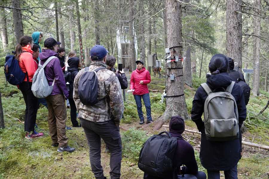 Enlarged view: Woman explaining things to a group of students next to a tree with sensors