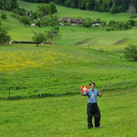 Person in a grassland holding a Swiss flag