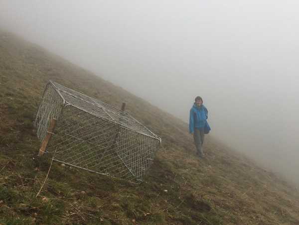 Enlarged view: Woman standing on very steep slope behind cage
