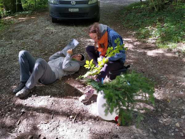 Woman measuring something on a twig, second woman lying on floor noting down values