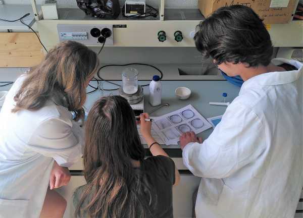 Students in lab