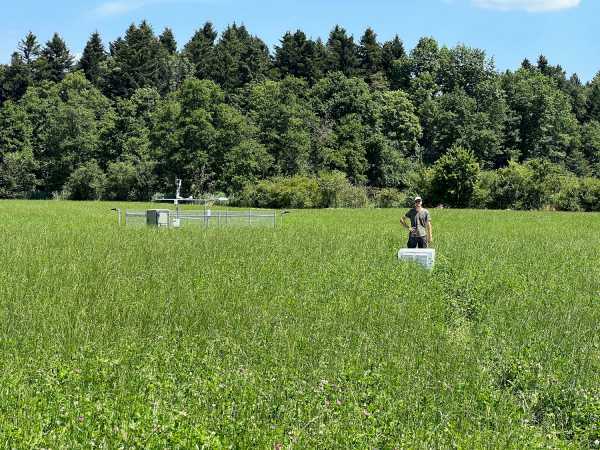 Man in grassland