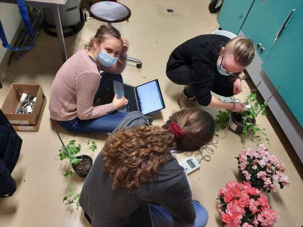 Three students looking at pots with different plants
