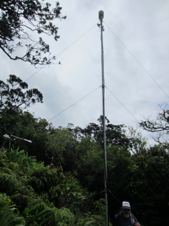 Measurement device in a forest