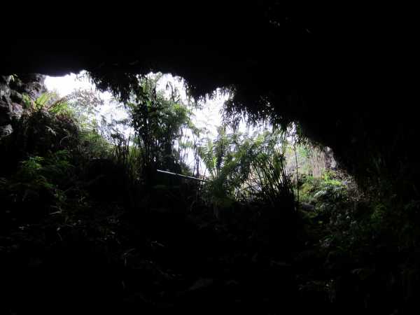View from inside a lava tube
