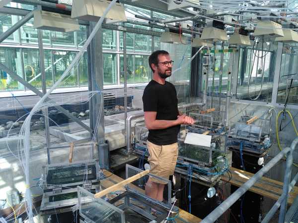 Man presenting mesocosm facility