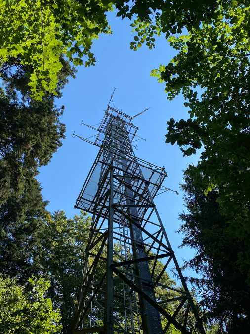 View from the bottom of the tower to the top throught the forest into the blue sky