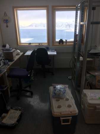 Lab with Arctic landscape visible through the window