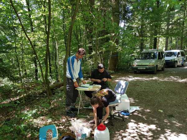 Three people around a small table in the forest