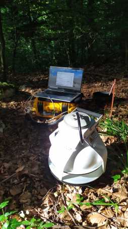 Soil respiration chamber