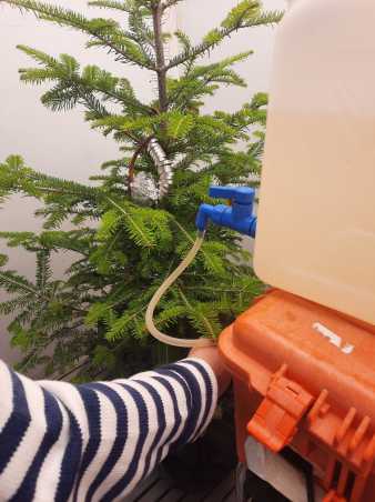 Enlarged view: Water container with tube and small needle tree