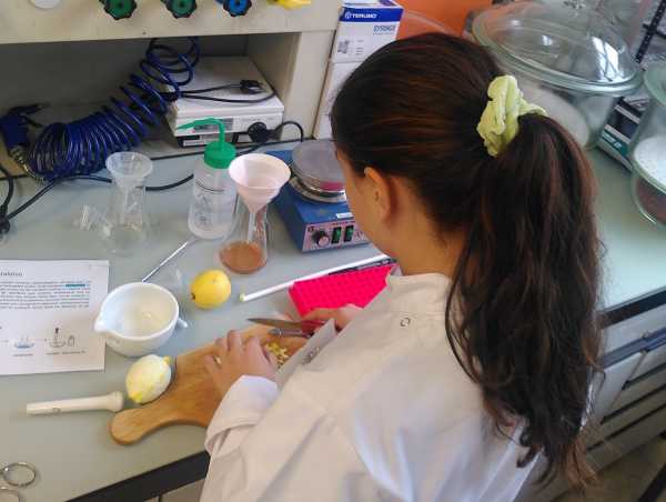 Girl cutting lemon peel in lab
