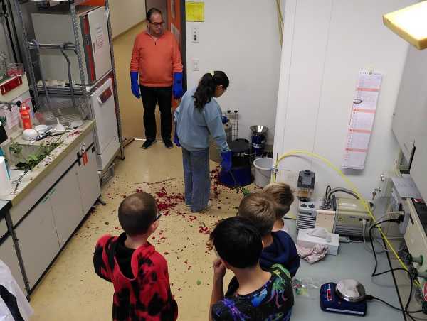 Lab full of shattered roses (due to liquid N2)
