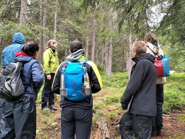 Group of people in a coniferous forest listening to a woman.