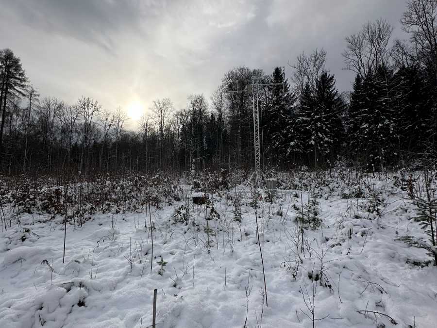 Overview of the forest clearing with the tower in the centre, snow