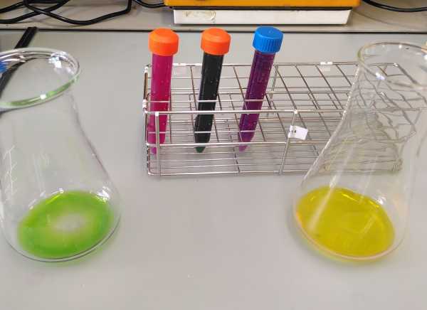 Vials filled with liquids in different colours