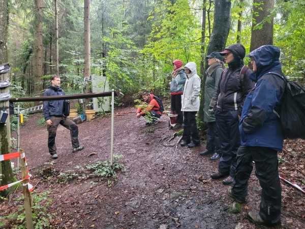 People in a forest looking at gutters installed below the canopy