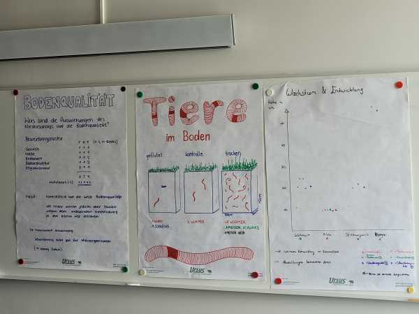 Hand-made posters with results for the experiments