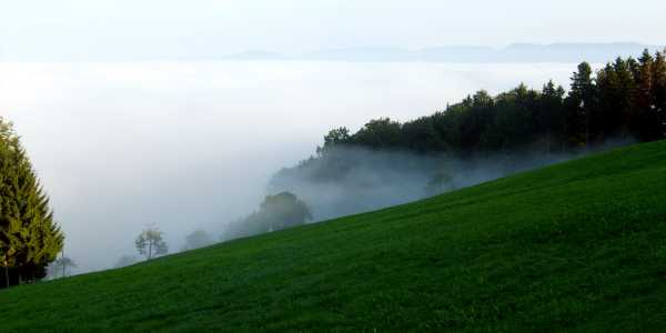 Enlarged view: Sharp upper boundary of fog deck in September near the Früebüel SwissFluxnet site
