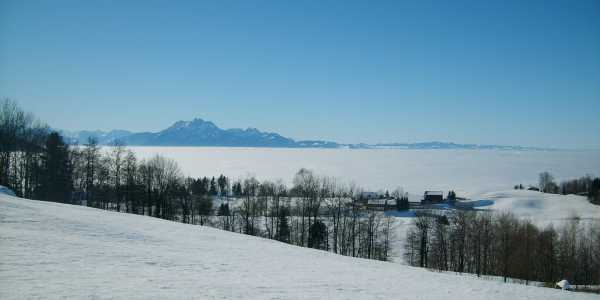 Enlarged view: An ideal condition with a fog deck covering most of the Swiss Plateau. Present-day weather forecast models still struggle to correctly predict extent and upper boundary of such fog decks