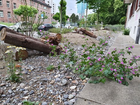 Enlarged view: Stones and a bit of vegetation
